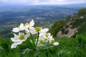 ��������� ���� ����� �������� ����������� �� 1 ���� ������